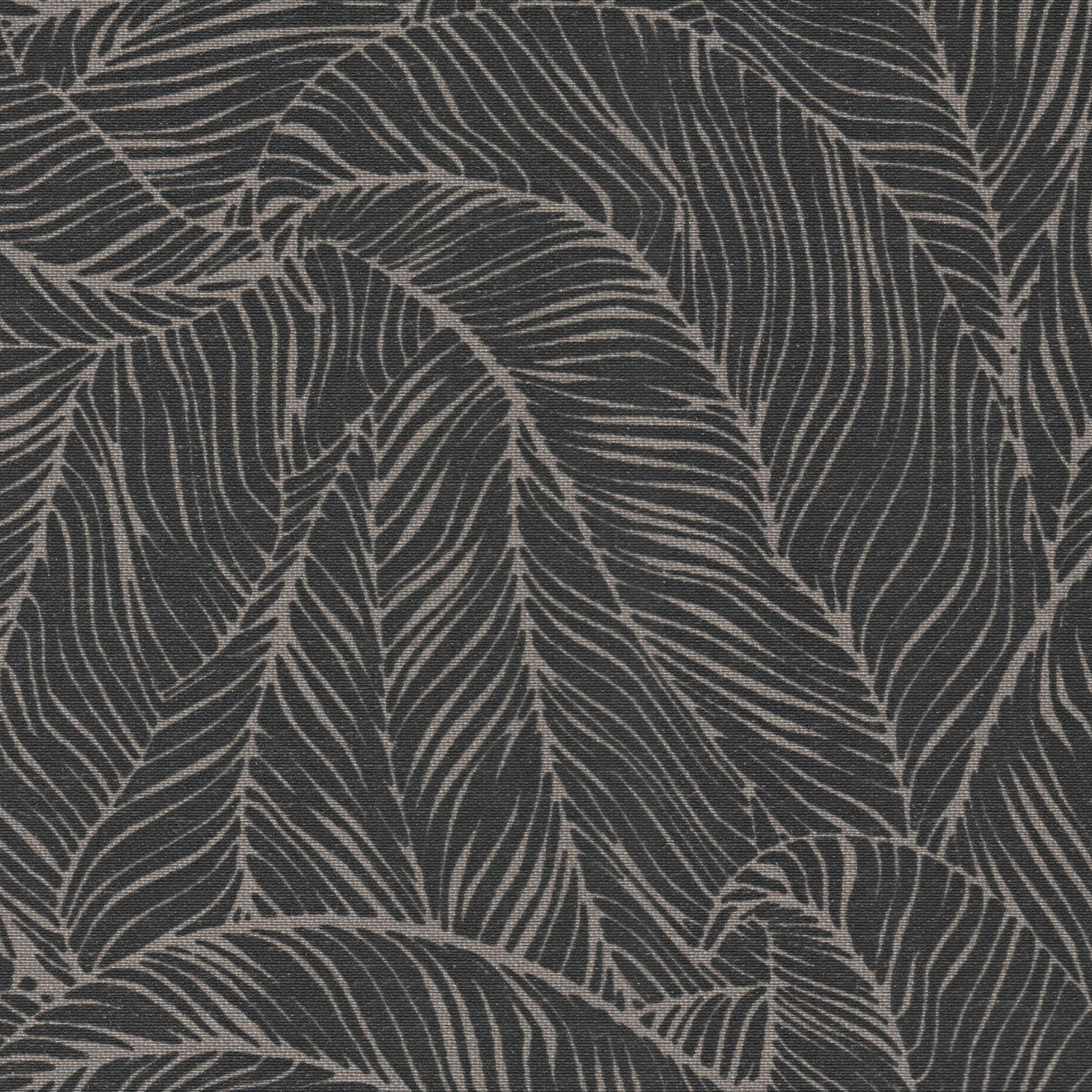 Collection DESIGN,Colour Moth,Type of fabrics Polyester